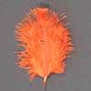 Orange Feather