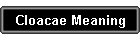 Cloacae Meaning