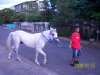 Cousing w/horse