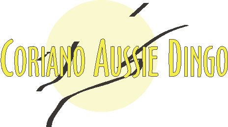 Corriano Aussie Dingo