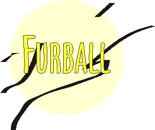 Furball