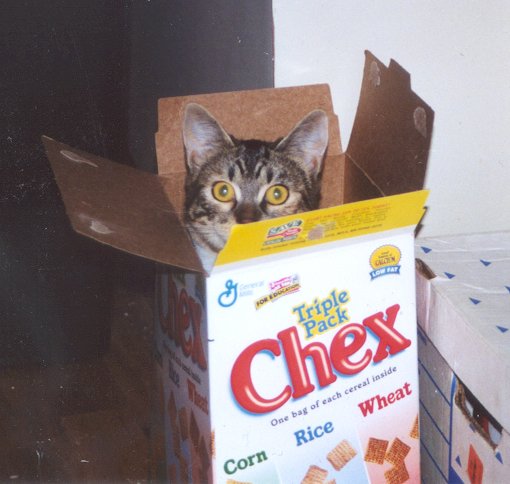 LC: Yes, she's silly, but I love her...