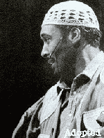 Adopt-A-Collins (tm)