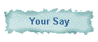 Your Say