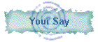 Your Say