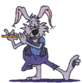 bunny musician