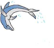 flipping dolphin