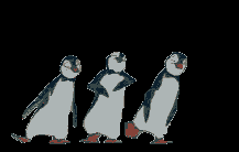three penguins