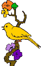 another yellow bird and flowers