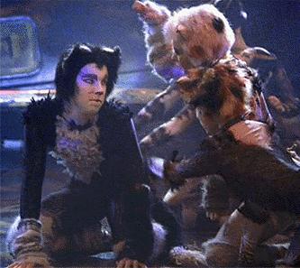 Etcetera and Jemima bat at Mistoffelees