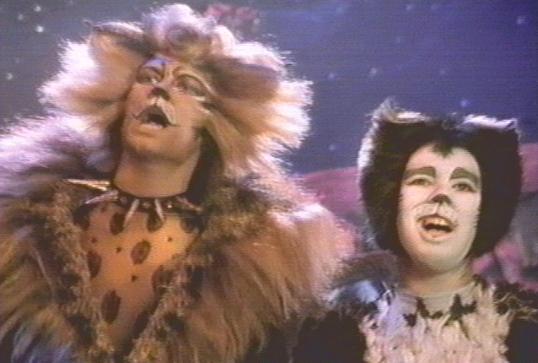 Mistoffelees tells how Rum Tum Tugger's a 'Curious beast'