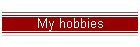 My hobbies