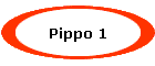 Pippo 1