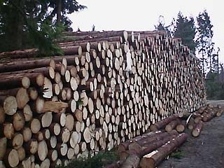 H�r ligger skogen staplad