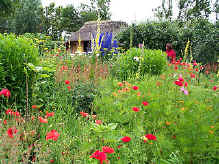 Tr�dg�rden utanf�r Emil Noldes museum i de gr�nsn�ra trakterna p� tyska sidan