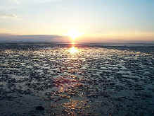 Vadehavet i solnedg�ng och vid l�gvatten