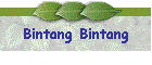Bintang Bintang