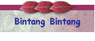 Bintang Bintang