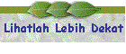 Lihatlah Lebih Dekat