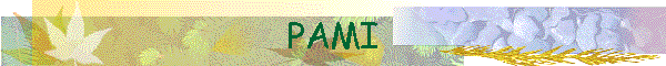 PAMI