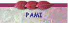 PAMI