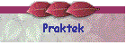 Praktek