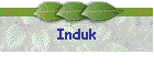 Induk