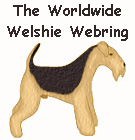 Visit The Webring Homepage