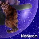 Nishinam