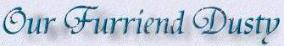 Our Furriend Dusty