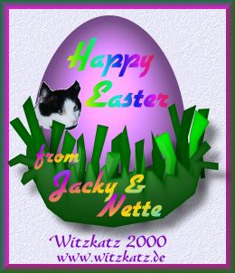 witzkatzeaster2000
