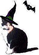 Witzkatz` Halloween 2000