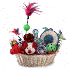 Toy basket