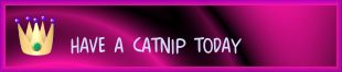 HAVE A CATNIP TODAY