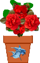 Send a Spirit Flower