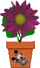 Send a Spirit Flower