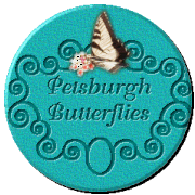 The Petsburgh Butterflies