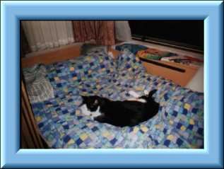 Really, it isn`t Nette`s bed