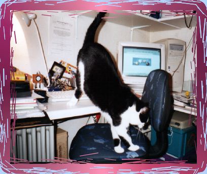 One night at the computer