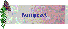 Krnyezet
