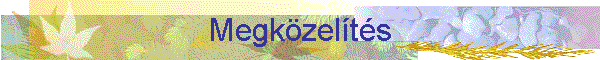 Megkzelts
