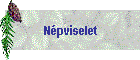 N�pviselet