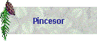 Pincesor