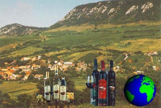 Keszt�lc a K�t�g�-hegy v�lgy�ben