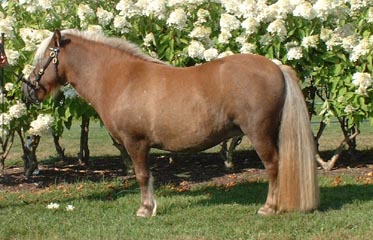 &copy Heini T., kuvissa oikeasti SH t.?