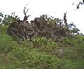 BradgatePark1RockyOutcrop.JPG