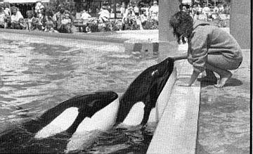 Kahana & Kasatka