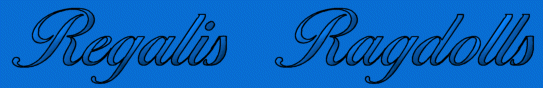 Regalis Ragdolls