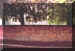 11.JPG (69643 bytes)