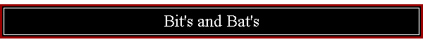 Bit's and Bat's